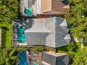 An aerial view of the backyard with a screened-in pool and mature landscaping at 14509 Thornfield Ct, Tampa, FL 33624