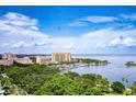 Expansive coastal view showcasing a marina, lush green trees, and buildings under a bright blue sky with fluffy clouds at 288 Beach Ne Dr # 12C, St Petersburg, FL 33701