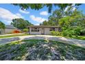 Landscaped single-story home featuring a concrete driveway and well-maintained front yard at 762 77Th N Ave, St Petersburg, FL 33702