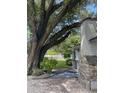 Home exterior showing a beautiful brick chimney and a mature tree at 14935 Ogden Loop, Odessa, FL 33556