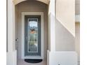 Close-up of the inviting front door with decorative accents and sidelights, enhancing curb appeal at 14672 Horse Trot Rd, Lithia, FL 33547