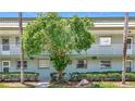 Exterior of the condo building with lush landscaping, shade tree and rock feature at 1433 S Belcher Rd # B11, Clearwater, FL 33764