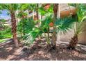 Lush landscaping surrounds the building including beautiful palm trees at 3062 Eastland Blvd # 311, Clearwater, FL 33761