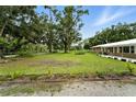 Well-maintained front yard featuring lush grass, mature trees, and tasteful landscaping at 4708 Bugg Rd, Plant City, FL 33567