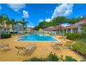 Community pool surrounded by lounge chairs, lush landscaping, and palm trees, perfect for relaxation and leisure at 9481 Highland Oak Dr # 1506, Tampa, FL 33647