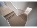 Carpeted staircase leading to modern floors, complemented by a bright white interior and handrails at 10409 Villa View Cir # 10409, Tampa, FL 33647
