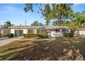 Inviting single-story home featuring a tidy front yard, complemented by lush greenery for added privacy at 2145 68 S Ave, St Petersburg, FL 33712