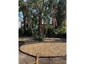 Backyard featuring landscaped area of small stones surrounded by tropical foliage and mature trees at 641 Geneva Pl, Tampa, FL 33606