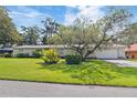 Attractive ranch-style home featuring an attached garage and large front yard at 16113 Tampa St, Lutz, FL 33548