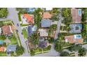 Aerial view of the property surrounded by trees, with a red outline at 403 Erie Ave, Tampa, FL 33606
