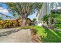 A view of the exterior side yard with mature trees, and landscaping at 403 Erie Ave, Tampa, FL 33606