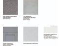 Selection of flooring, cabinets, quartz, and paint colors for a cohesive design scheme at 13240 Stable Pl, Parrish, FL 34219