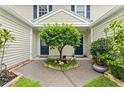 Inviting front entryway featuring a decorative tree, dual doors, and vibrant landscaping at 12336 Villager Ct, Tampa, FL 33625