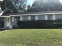 Charming single-story home with well-maintained lawn and a tidy shrubbery at 4209 E Hanna Ave, Tampa, FL 33610