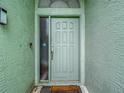 Exterior front door with sidelight, welcome mat, and light fixture at 9707 Kings Canyon Pl, Tampa, FL 33634