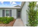 Close-up of the front entry door with gray door, window and landscaped garden at 17071 Oval Rum Dr, Wimauma, FL 33598