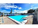 Large, rectangular outdoor pool with ample seating surrounded by muraled fencing at 4359 Tahitian Gardens Cir # A, Holiday, FL 34691