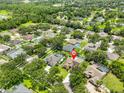 Aerial view of the home with a screened-in pool in a lush, green neighborhood at 12305 Freesia Ct, Riverview, FL 33569