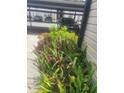 Condo parking spot with tropical landscape view at 5125 Puritan Cir # 1103, Tampa, FL 33617