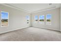 Bright bedroom with multiple windows, tray ceiling, and neutral carpeting at 15003 Rider Pass Dr, Lithia, FL 33547