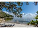 Sandy beach with a beautiful tree providing shade and serene views of the calm blue waters and cloudy sky at 6210 Bayshore Blvd, Tampa, FL 33611