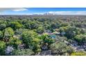 Picturesque aerial view showcasing the neighborhood's lush greenery and distant skyline at 2101 E Ellicott St, Tampa, FL 33610