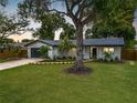 Single-story home with a large tree and well-maintained lawn at 2441 69Th S Ave, St Petersburg, FL 33712