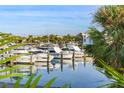 Boats docked at the marina at 429 3Rd N Ave, Tierra Verde, FL 33715