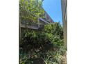 Lush landscaping with tropical plants near the building at 2700 Bayshore Blvd # 5109, Dunedin, FL 34698