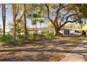 Ranch style home nestled amongst mature trees, offering privacy and shade at 570 Casler Ave, Clearwater, FL 33755