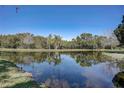 Serene pond view with lush greenery and reflection at 3503 10Th W Ln, Palmetto, FL 34221