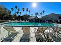 Inviting community pool with lounge chairs and palm trees at 4529 Whitton Way # 223, New Port Richey, FL 34653