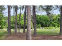 View 9600 Green Needle Dr New Port Richey FL
