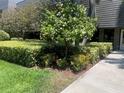 Lush landscaping with flowering bushes and manicured hedges at 36750 Us Highway 19 N # 15-310, Palm Harbor, FL 34684