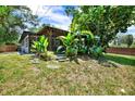 Lush backyard with tropical plants and a screened-in patio area at 2499 Indigo Dr, Clearwater, FL 33763