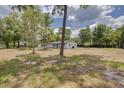 Modern ranch home with large backyard and mature trees at 7414 Van Dyke Rd, Odessa, FL 33556
