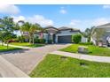 View 11888 Frost Aster Dr Riverview FL