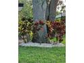 Landscaped area with tropical plants and large tree at 1638 Polo Club Dr, Tarpon Springs, FL 34689