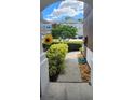 Inviting front entrance with lush landscaping and a clear walkway, plus a sunny view of the neighborhood at 10254 Red Currant Ct, Riverview, FL 33578