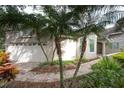 Single-story house with two palm trees at 379 Fan Palm Ne Ct # 0, St Petersburg, FL 33703