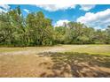 Large, grassy backyard with mature trees at 13037 Saddleback Trl, Spring Hill, FL 34610