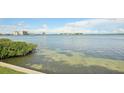 View 6322 Palma Del Mar S Blvd # 110 St Petersburg FL