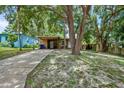 Charming house with a long driveway and lush trees at 4984 Oxford N Ave, St Petersburg, FL 33710