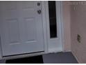 White front door with sidelight and small mat at 2367 N Bentley Dr, Palm Harbor, FL 34684