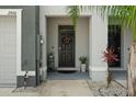 Inviting front entrance with a black door and potted plants at 2926 Suncoast Plains Dr, Odessa, FL 33556
