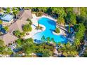 Aerial view of the sparkling community pool surrounded by lush landscaping, palm trees, and lounge chairs at 31980 Goddard Dr, Wesley Chapel, FL 33543