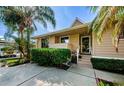 Tan house exterior with lush landscaping and palm trees at 1008 Caravel Ct, Tarpon Springs, FL 34689