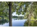 Serene lake view with lush trees at 2585 Bay Berry Dr # 43D, Clearwater, FL 33763