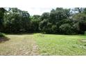 Spacious lot featuring green grass and mature trees, ready for building at 8230 74Th N St, Pinellas Park, FL 33781
