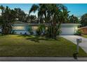 Ranch style home with teal exterior, well manicured lawn, and palm trees at dusk at 1549 Linwood Dr, Clearwater, FL 33755